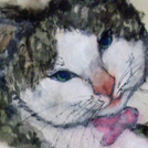 カレンダー　たんぽぽ