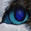 カレンダー　涼介くん