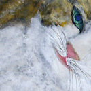 カレンダー　ニコたん